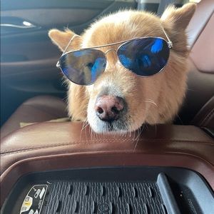 Meet your Posher, Jackie